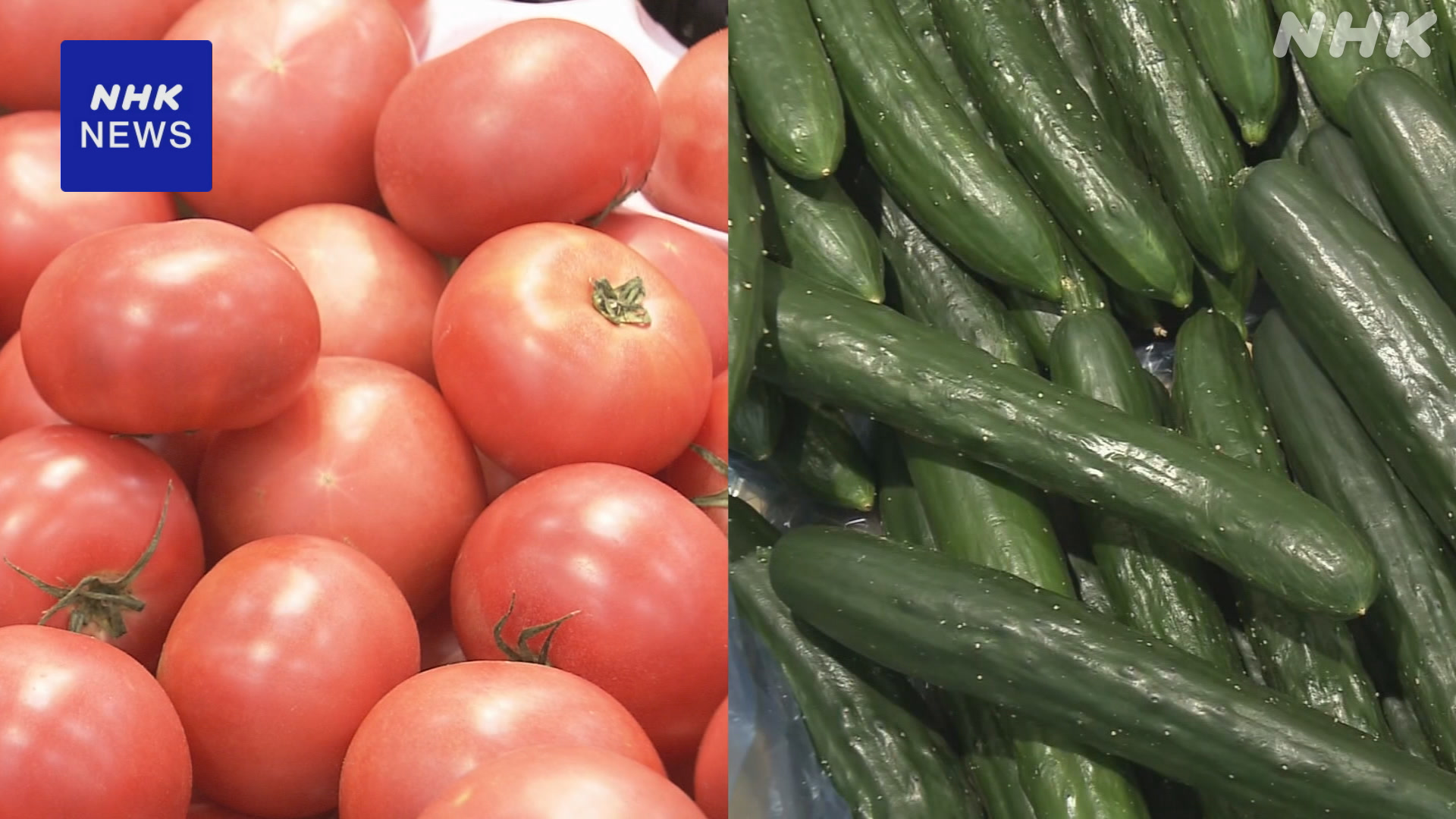 野菜の値段9月はトマトやきゅうりが高い