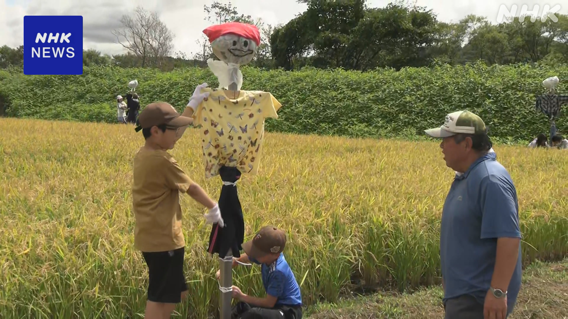 北海道乙部町子どもたちが「かかし」を作った