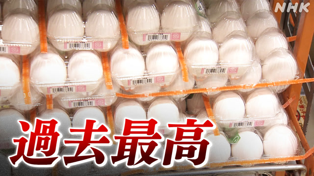 卵の値段が今まででいちばん高くなった