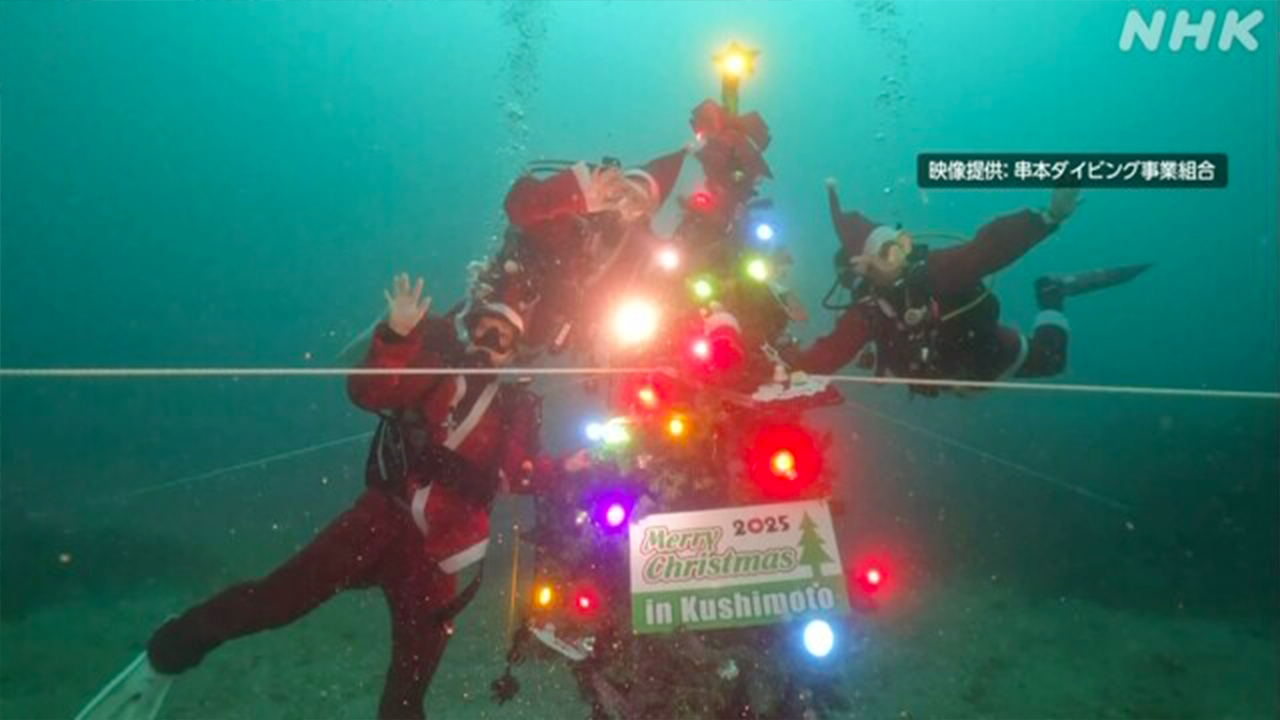 和歌山県海の中にクリスマスツリーを飾る