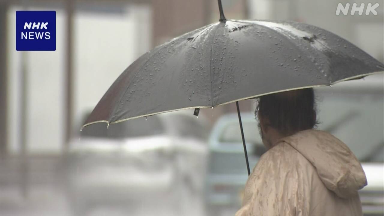 東京や高知市で久しぶりに長い時間雨が降った
