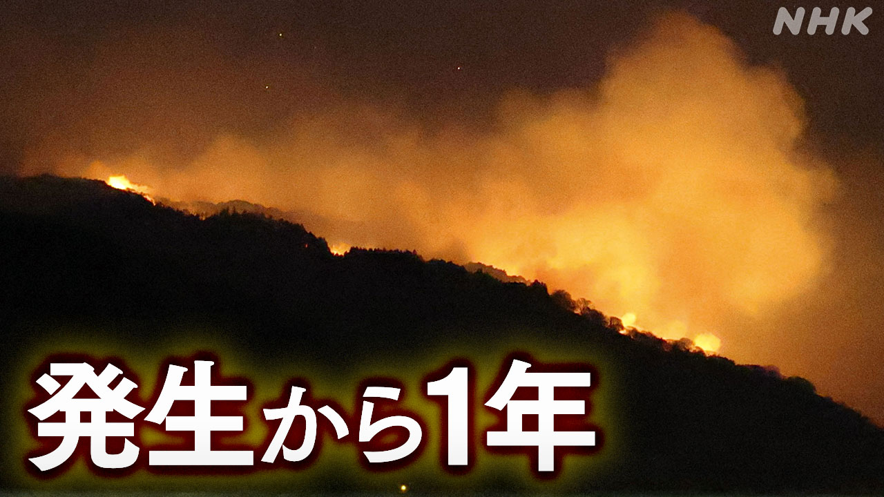 岩手県大船渡市大きな山の火事から1年