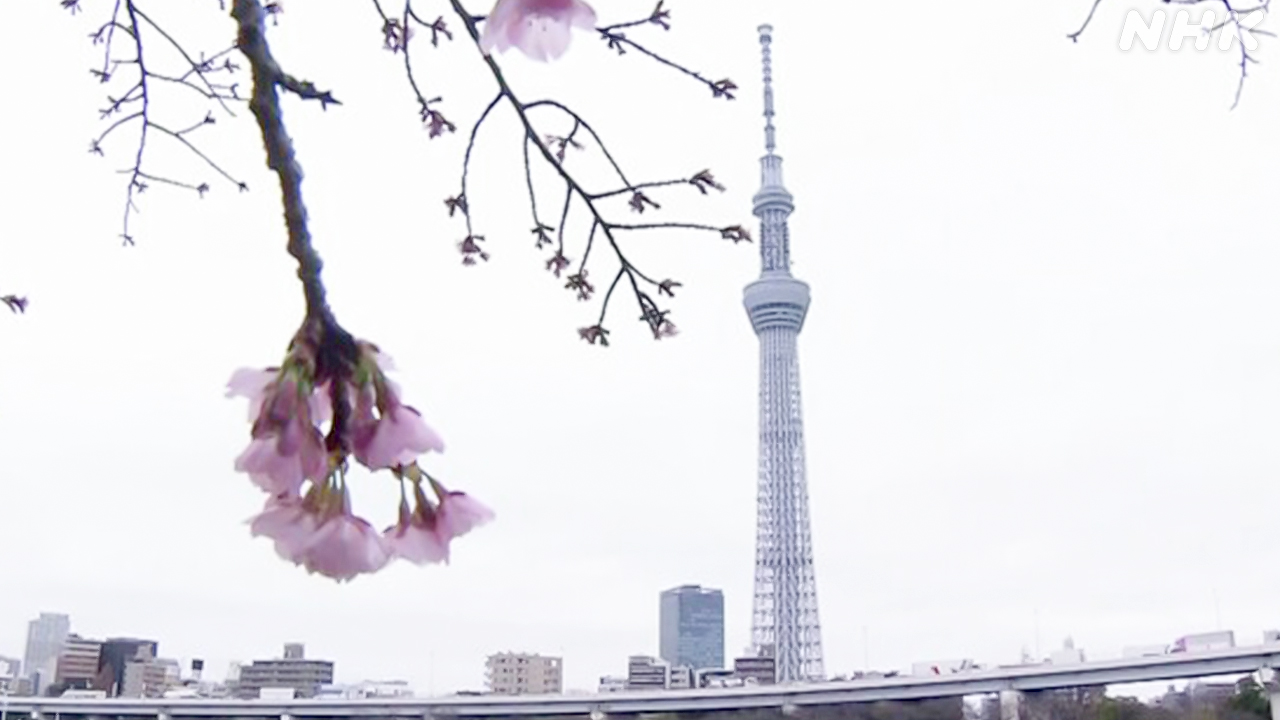 トラブルがあったスカイツリー安全をチェックして営業を始めた