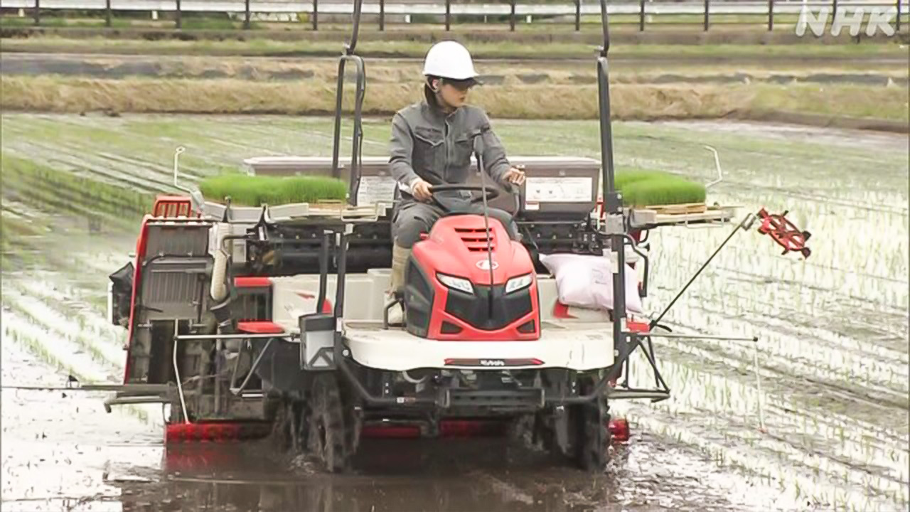 原油の値段が高くなって米の農家も困っている