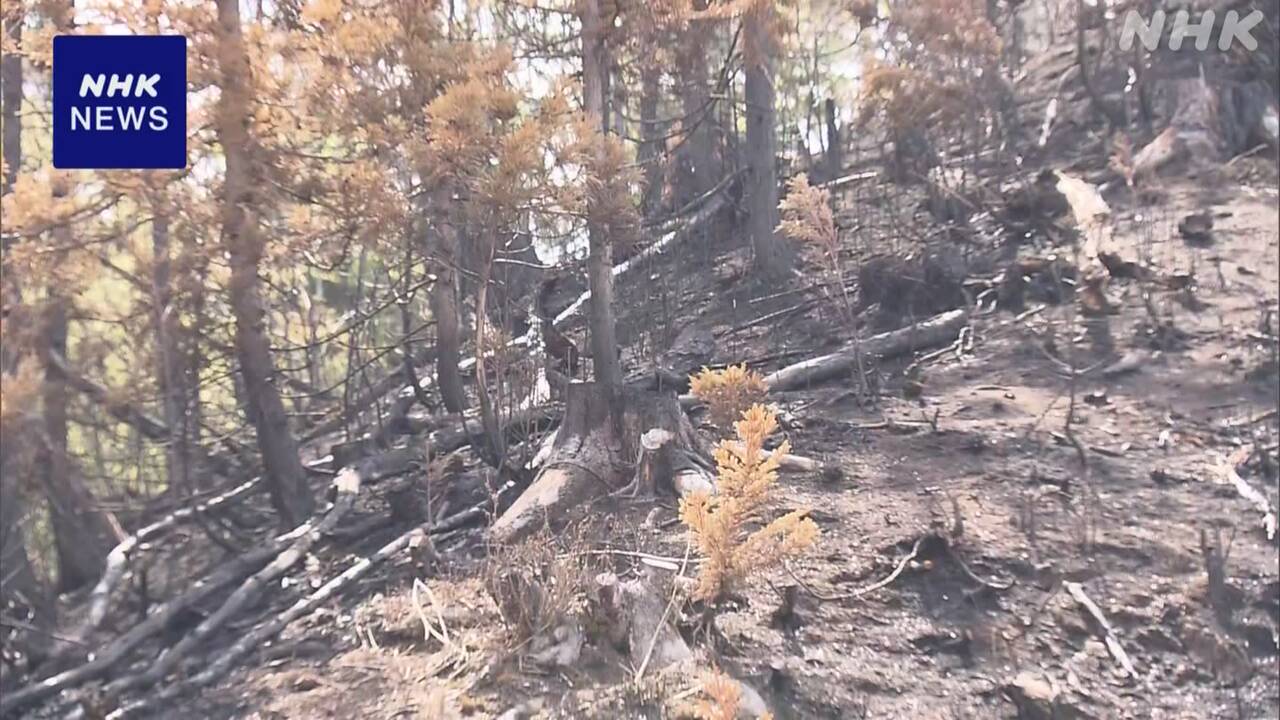 岩手県大槌町の山の火事広がるのが止まった
