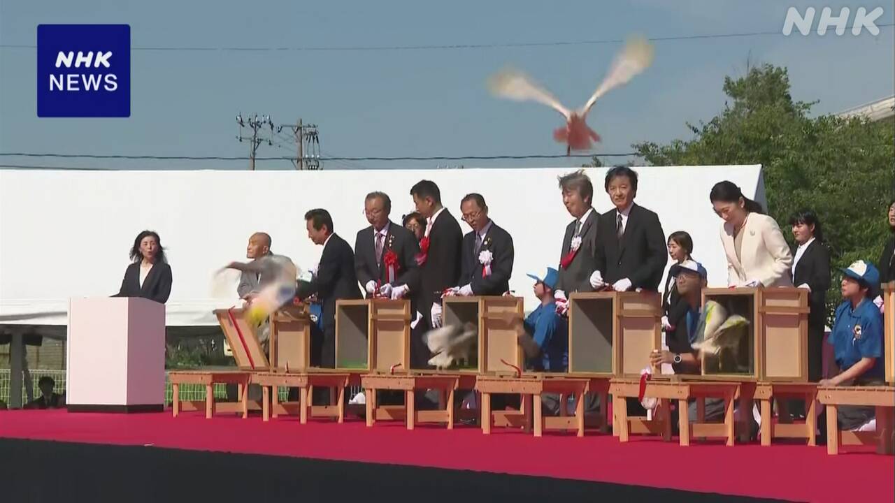 石川県佐渡から運んだ「トキ」が自然の中で飛んだ