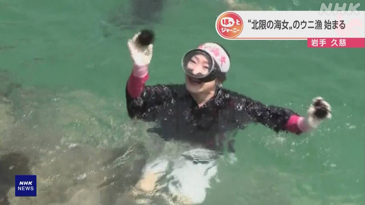 岩手県海に入ってウニをとる「海女」観光に来た人に見せる