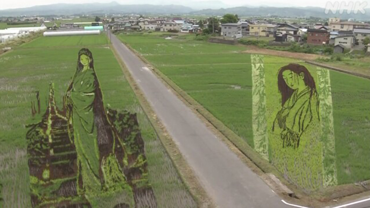 青森で「田んぼアート」が始まった今年のテーマは「幽霊」